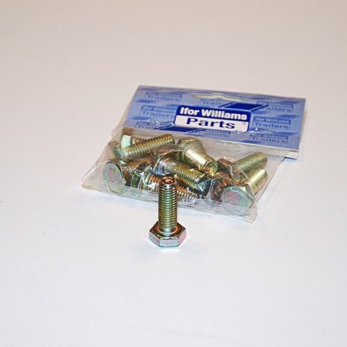Ifor Williams Bolt 10 x 30. 10 stk